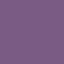 VUVN035 - Violet d'évêque